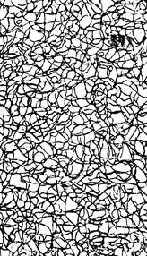 Молчанов П.А. Тропосфера и стратосфера. - М., 1934.