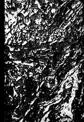 Материалы комиссии экспедиционных исследований Академия наук СССР. Иссыккульская экспедиция 1928г., выпуск I. - , .