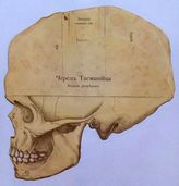  Вселенная и человечество. История исследования природы и приложения ее сил на службу человечеству.. Т. 2 : Происхождение и развитие человеческого рода. Развитие растительного мира. Развитие мира животных. - СПб., 1896.