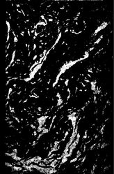 Фредерикс, Георгий Труды главного геолого-разведочного управления ВСНХ СССР  институт геологической карты. уральская секция. выпуск 69 : Геологическая карта Урала. 1:200000. Лист О-40-XV-NW. - М., 1931.