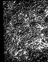 Горно-заводское дело.. - Харьков, -1887.