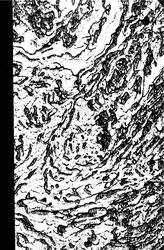 Мефферт Б.Ф. Эоценовая фауна из Даралагёза в Армении. - М., 1931.