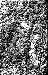 Фредерикс Г.Н. К истории изучения геологии уральской нефти. - Л., 1931.