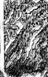 Чечотт Г.О. Опробование и испытание полезных ископаемых. - М., 1932.