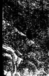 Мефферт Б.Ф. Геологический очерк области боржома и бакурьяни между карельской долиной куры и ахалкалакским лаковым нагорьем. выпуск 303. - , .