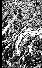 Поливанов М.К. Районные электрические станции и подстанции. - М., 1927.