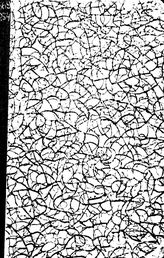 Электролиз в металлургии и гальванотехнике. - М.-Свердловск, 1947.